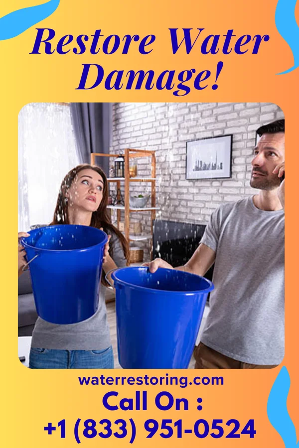 water restoration Premier Disaster Cleanup Services Hillsboro